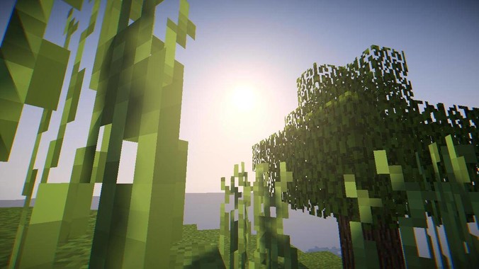 养乌龟是什么体会？